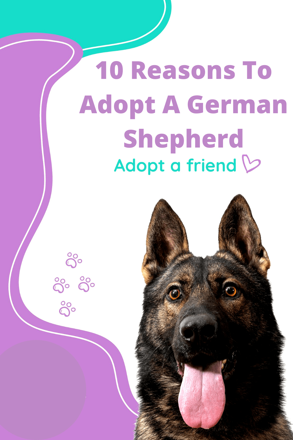 10 Reasons to Adpot a German Shepherd