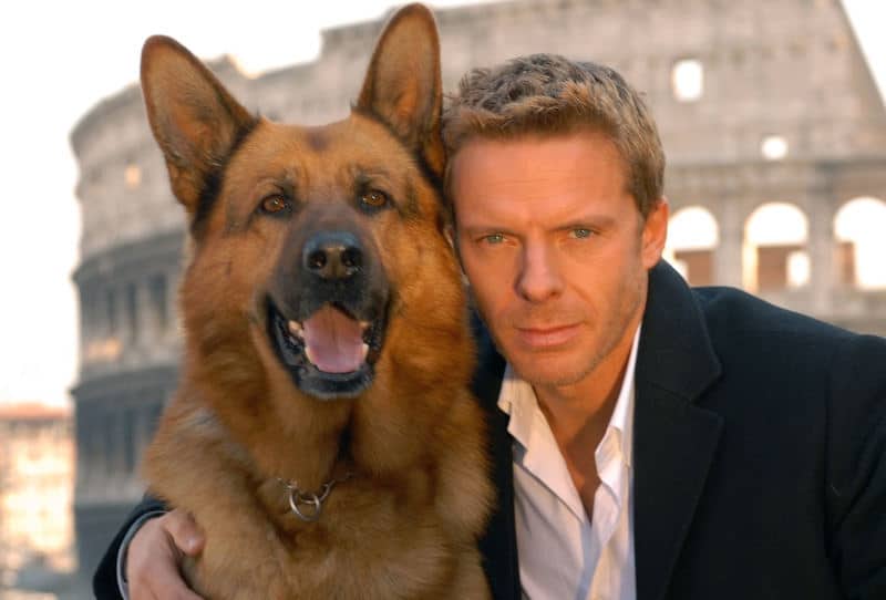 Image Result For How To Minimize Shedding In German Shepherds Image Result For How To Minimize Shedding In German Shepherds