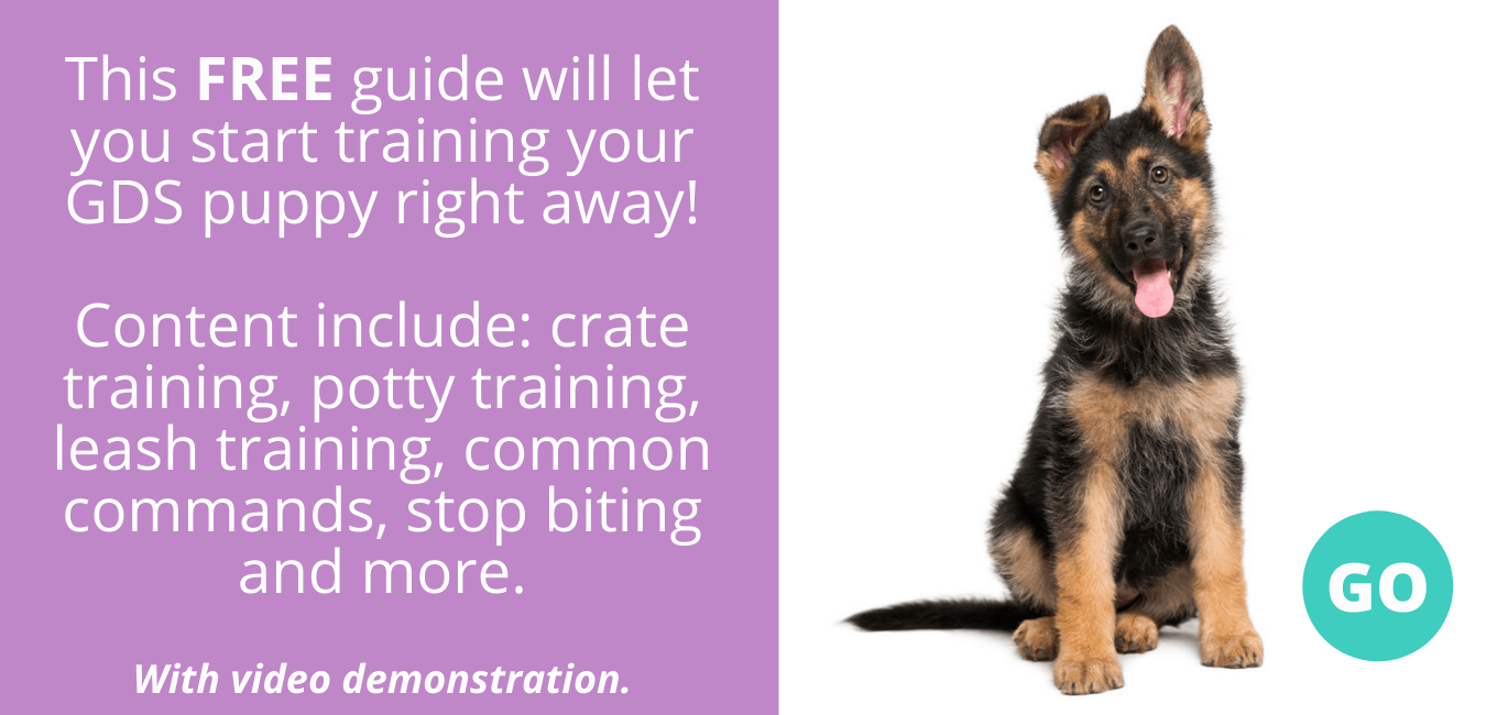 10 Best Training Tips for German Shepherd Puppy · German Shepherd 101