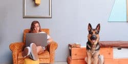 Can I Work Full-time With a German Shepherd?