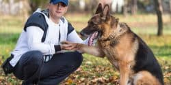 Why is my German Shepherd Suddenly Aggressive Towards my Husband?